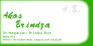 akos brindza business card